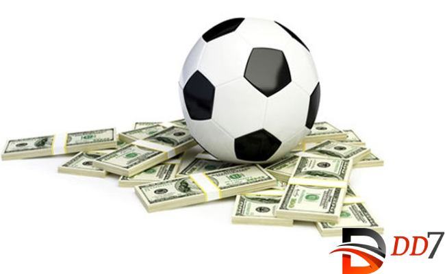 Cò bóng đá và những thông tin cần biết cho cược thủ 2 Lợi nhuận cò bóng đá thu được