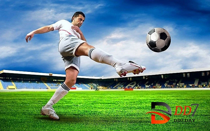 Cá cược DD7